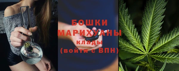 прущие грибы Богородицк