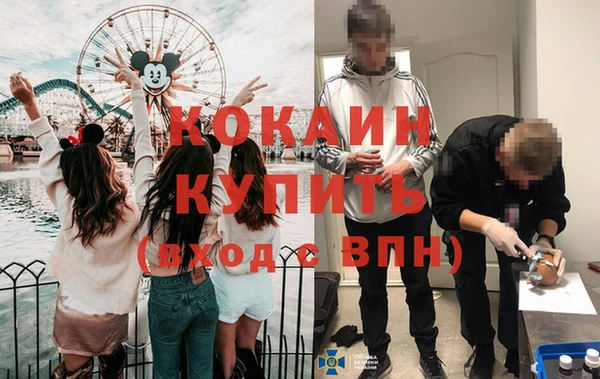 стафф Богданович