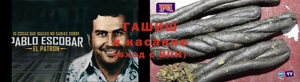 прущие грибы Богородицк