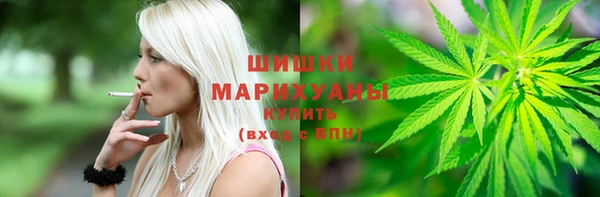 бошки Бронницы