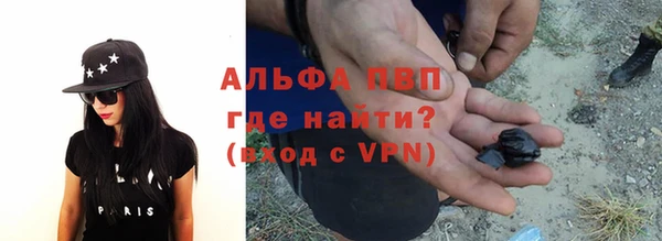 PSILOCYBIN Богородск