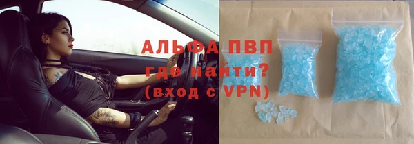 PSILOCYBIN Богородск