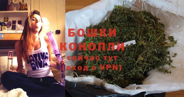 прущие грибы Богородицк