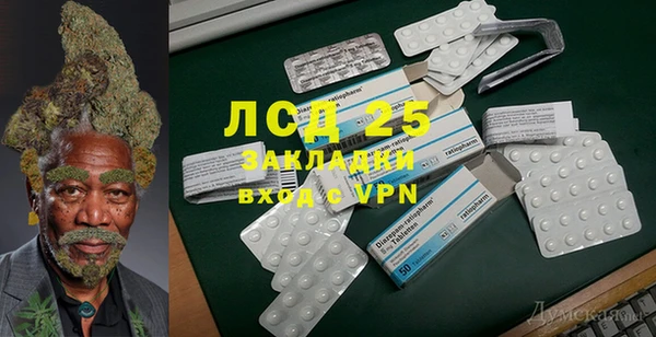 прущие грибы Богородицк