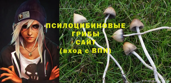 бошки Бронницы