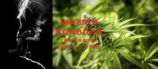 прущие грибы Богородицк